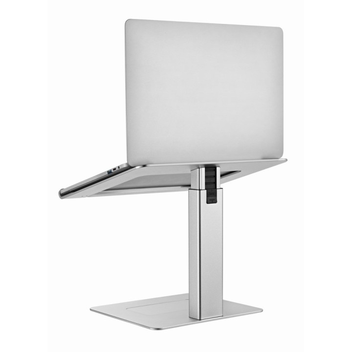 Gembird NBS-D1-02 supporto laptop argento 39.6 cm (15.6 )