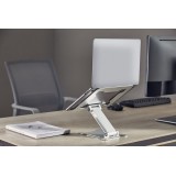 Gembird NBS-D1-03 supporto laptop argento 39.6 cm (15.6 )