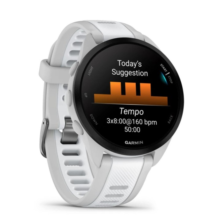 Garmin Forerunner 165 3.05 cm (1.2 ) AMOLED digitale 390 x 390 pixel schermo tattile grigio GPS (satellitare)