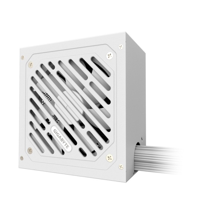 GIGABYTE P650SS ICE alimentatore - PCIe 5.0 80 PLUS argento 120mm ventola ATX 3.0 compatibile EU spina