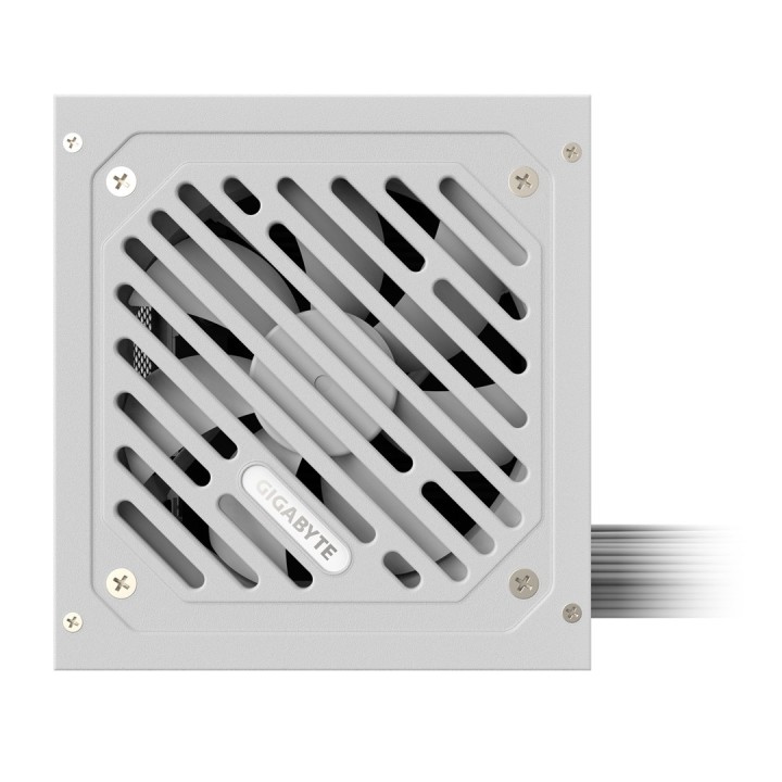 GIGABYTE P650SS ICE alimentatore - PCIe 5.0 80 PLUS argento 120mm ventola ATX 3.0 compatibile EU spina