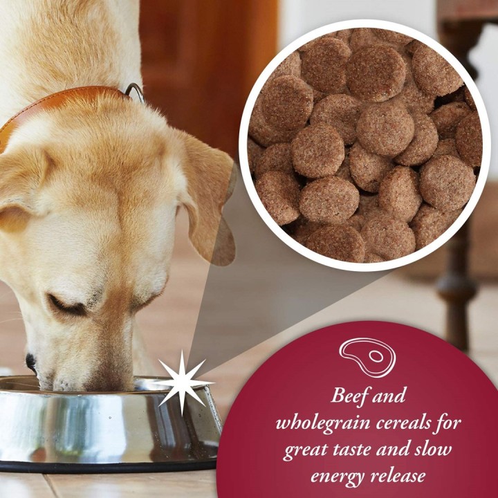 ARKWRIGHT Complete manzo - cibo secco per cani - 15kg