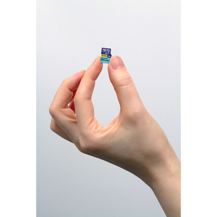 GOODRAM RIVAL M2AA 256 GB MicroSDXC V30 A2 UHS-I U3 + adattatore (GGSM2AA-2560R12)