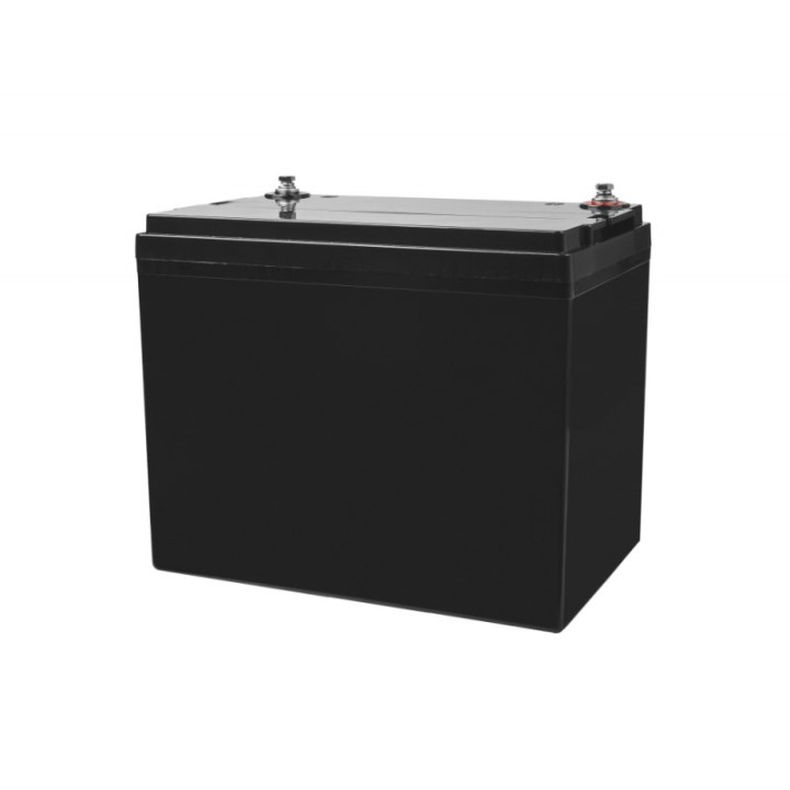 Green Cell AGM25 UPS batteria Piombo-acido sigillato (VRLA) 12 V 75 Ah