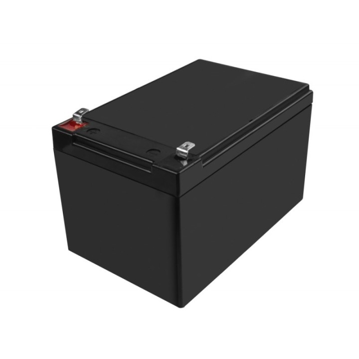 Green Cell AGM48 UPS batteria Sealed Lead Acid (VRLA) 12 V 10 Ah