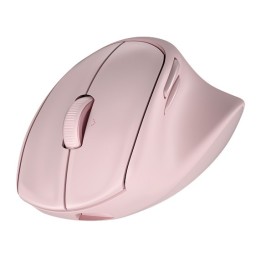 HP Mouse ergonomico reclinabile PNK MSE 720M EMEA-INTL EN L destrorso RF wireless + Bluetooth 6000 DPI