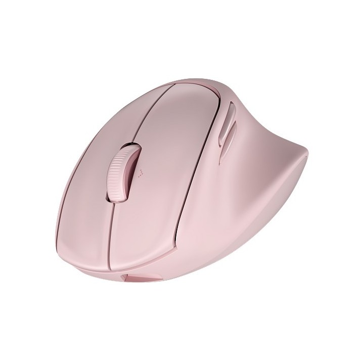 HP Mouse ergonomico reclinabile PNK MSE 720M EMEA-INTL EN L destrorso RF wireless + Bluetooth 6000 DPI