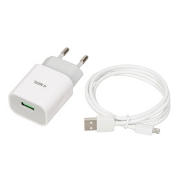 Caricabatterie iBOX C-41 USB 2A 1 USB porta microUSB cavo bianco