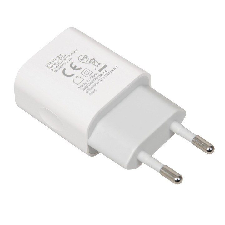 Caricabatterie iBOX C-41 USB 2A 1 USB porta microUSB cavo bianco