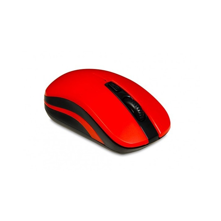 iBox LORIINI Mouse ambidestro RF wireless ottico 1600 DPI