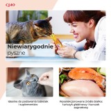 INABA Churu Pops Pollo - snack per gatti - 4x15 g