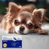 JM SANTE Multiway Vet Duocaps Neuro - capsule girevoli che supportano il sistema nervoso per cane e gatto – 60pcs