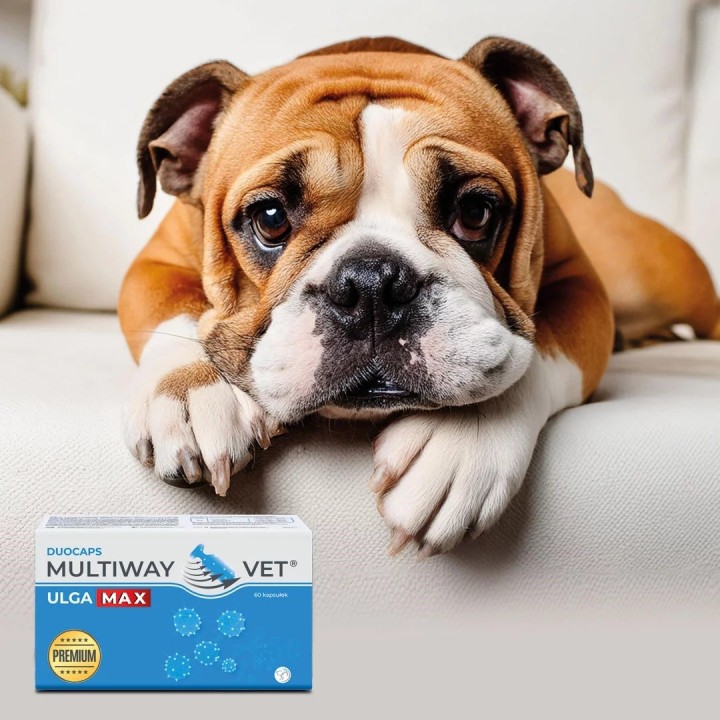 JM SANTE Multiway Vet Duocaps Ulga Max - capsule girevoli per alleviare stress e fastidi in cani e gatti – 60 pz