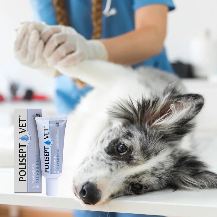JM SANTE Polisept Vet Wound gel Silver Pro - gel medicazione per cani e gatti – 30 ml