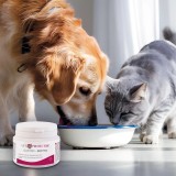 JM SANTE Vet Protector Gastro - Biotyk - multibiotico per cani e gatti – 60 g