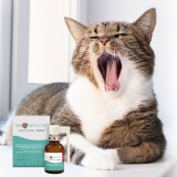JM SANTE Vet Protector spray per cavità orale – liquido per la cavità orale per cani e gatti - 30 ml