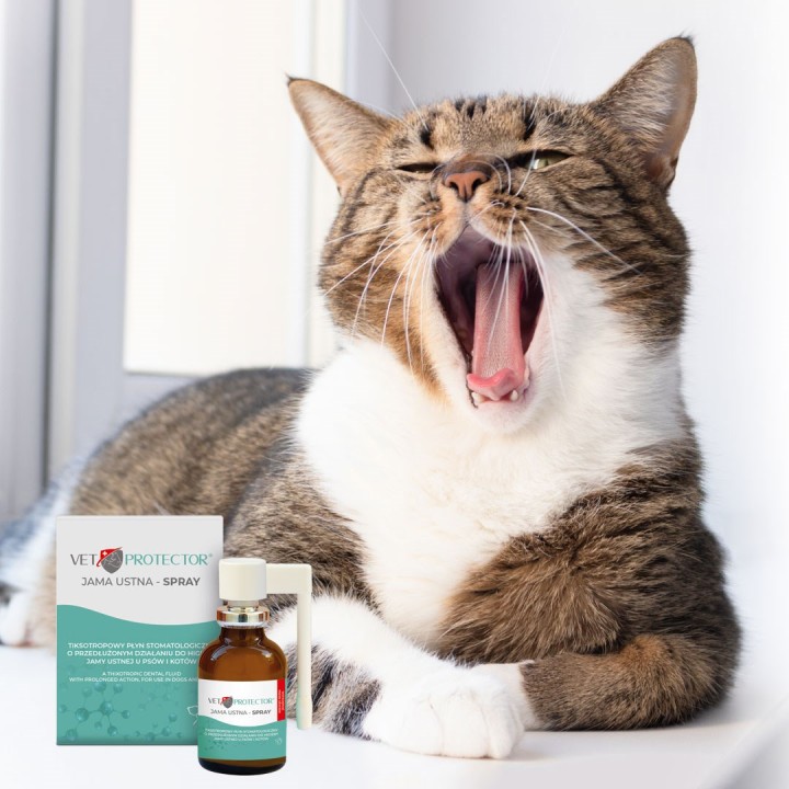 JM SANTE Vet Protector spray per cavità orale – liquido per la cavità orale per cani e gatti - 30 ml