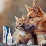 JM SANTE Vet Protector Uszy Plus - soluzione auricolare per cani e gatti – 50 ml