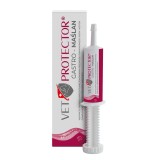 VET PROTECTOR Gastro Butyrate - integratori per cane e gatto - 60ml