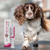 VET PROTECTOR Gastro Butyrate - integratori per cane e gatto - 60ml