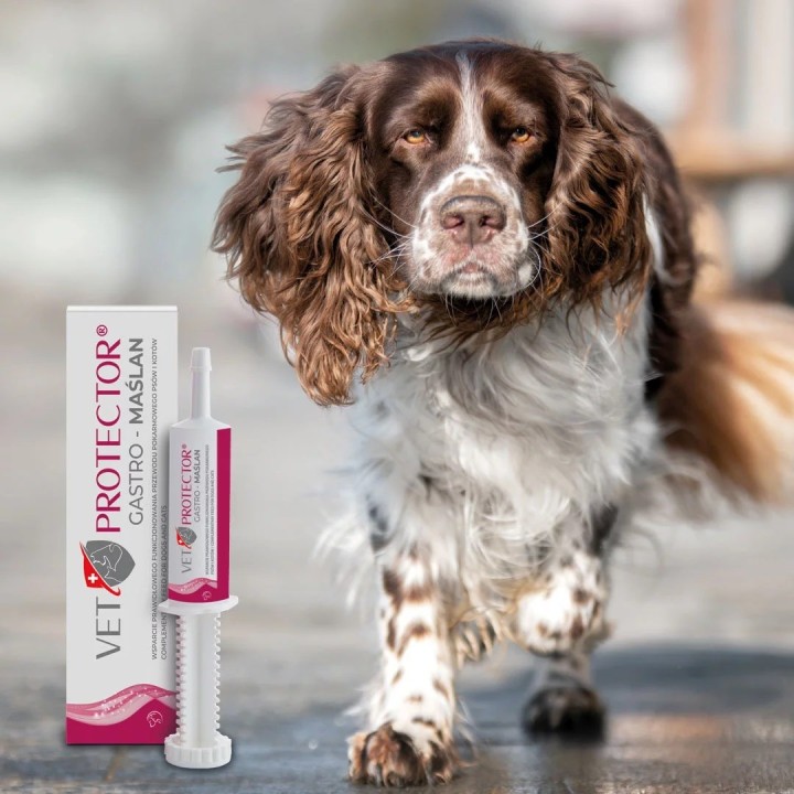 VET PROTECTOR Gastro Butyrate - integratori per cane e gatto - 60ml