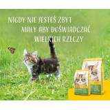 Josera 4032254755005 cibo secco per gatti 2 kg Kitten Pollame