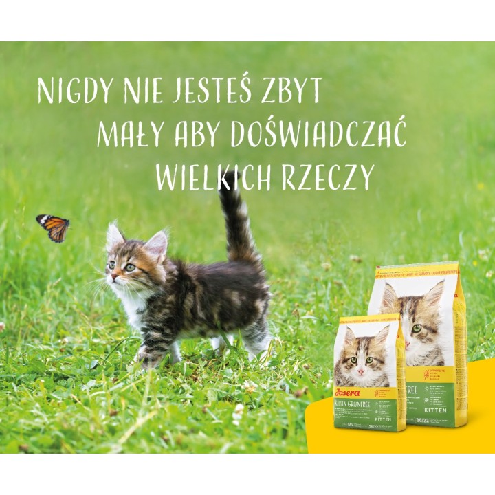 Josera 4032254755005 cibo secco per gatti 2 kg Kitten Pollame