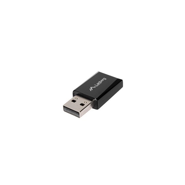 Lanberg NC-0900-WI scheda di rete WLAN 600 Mbit/s