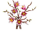 LEGO BOTANICALS 11510 Rami Magnolia