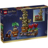 LEGO HARRY POTTER 76474 Piante di Erbologia di Hogwarts