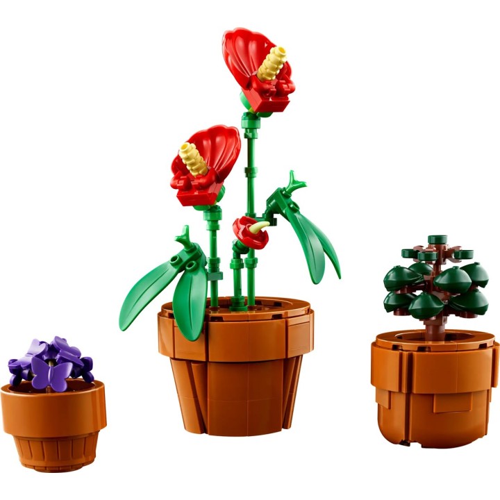 LEGO ICONS 10329 PIANTINE MINUSCOLE