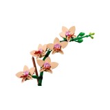 LEGO ICONS 10343 The Botanical Collection - Mini Orchidea