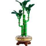LEGO ICONS 10344 The Botanical Collection - Bambù Fortunato
