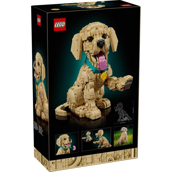LEGO ICONS 11384 Cucciolo di Golden Retriever