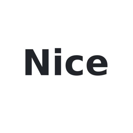 Nice