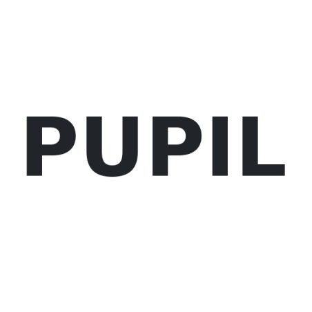 PUPIL
